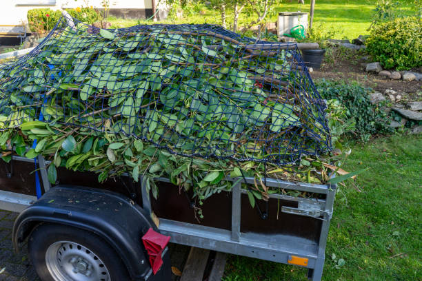 Best Yard Waste Removal  in Lake Pocotopaug, CT